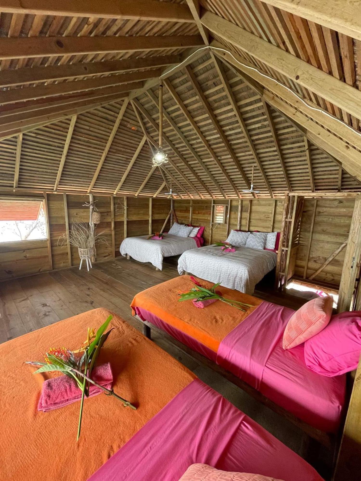 乌拉卡私人岛屿山林小屋 Punta Laurel 外观 照片