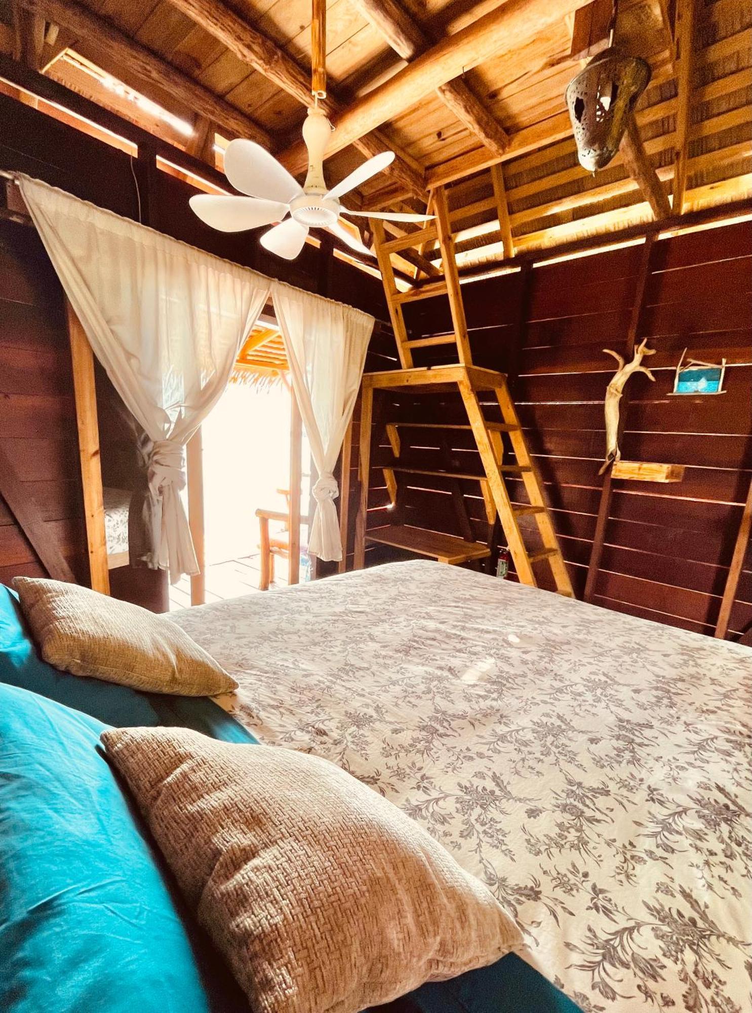 乌拉卡私人岛屿山林小屋 Punta Laurel 客房 照片