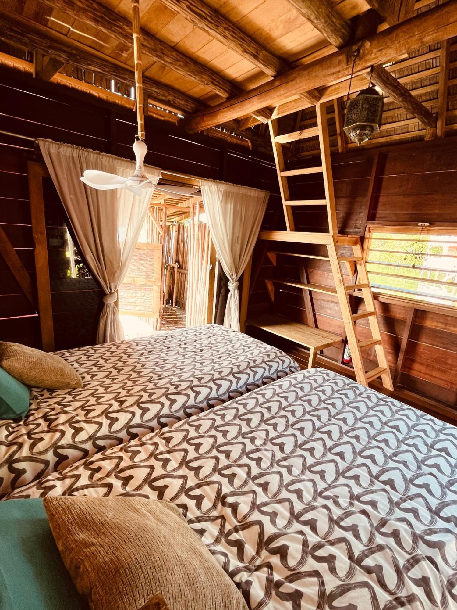 乌拉卡私人岛屿山林小屋 Punta Laurel 客房 照片