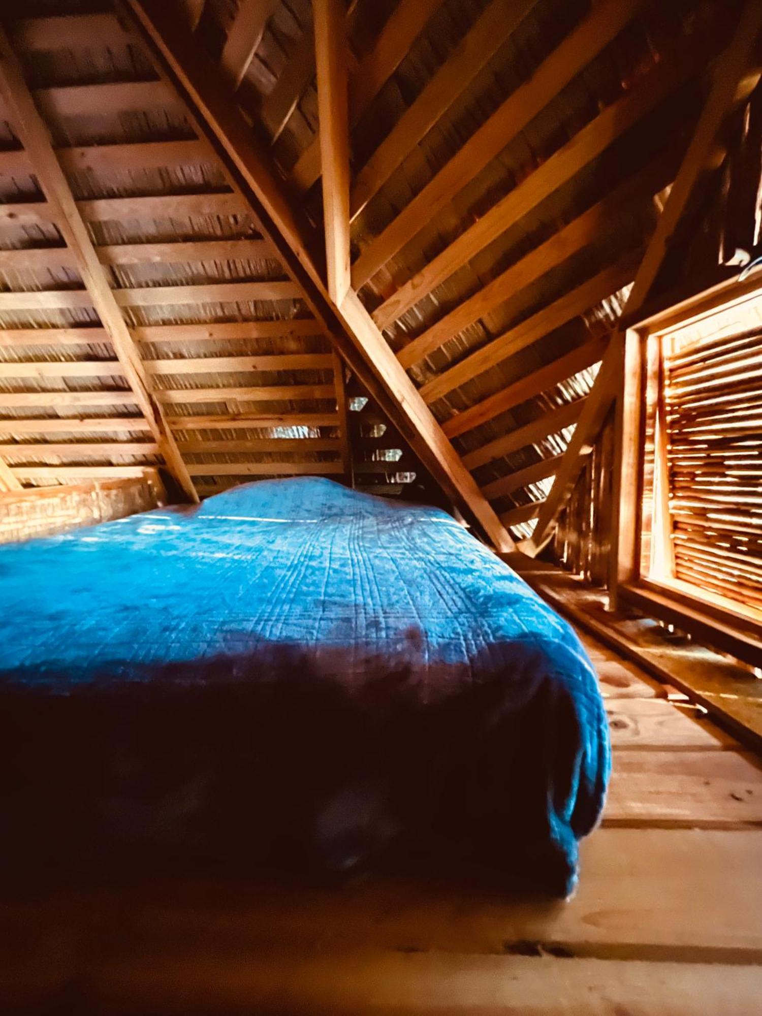 乌拉卡私人岛屿山林小屋 Punta Laurel 客房 照片
