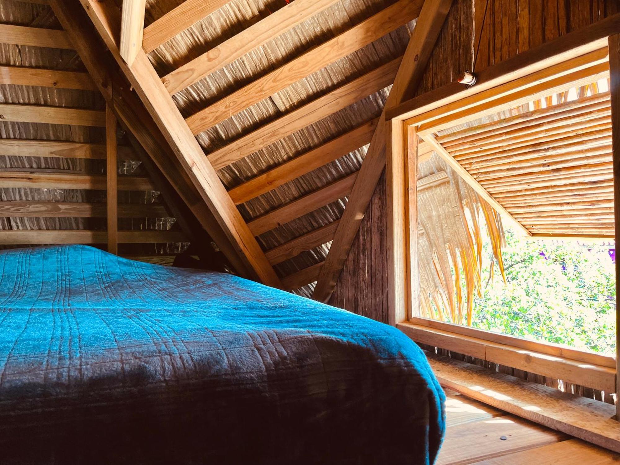乌拉卡私人岛屿山林小屋 Punta Laurel 客房 照片