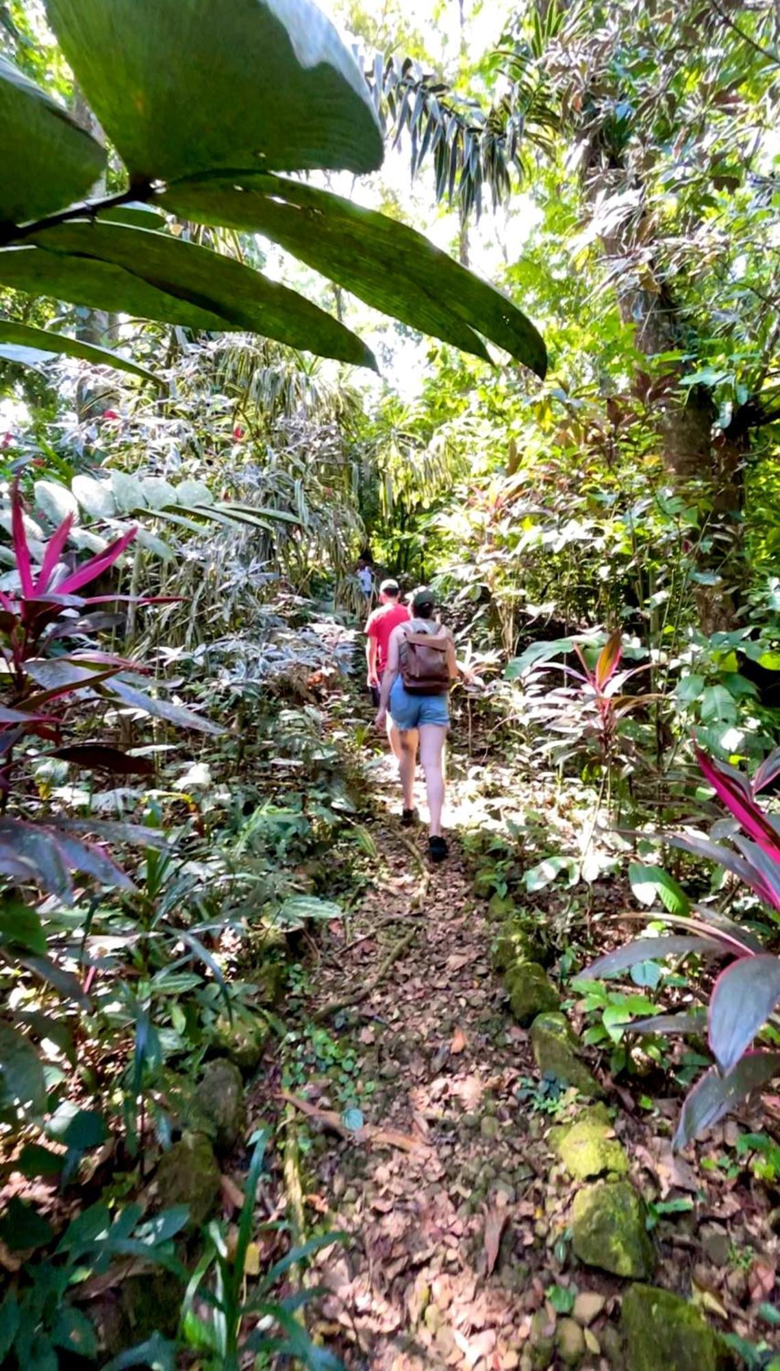 乌拉卡私人岛屿山林小屋 Punta Laurel 外观 照片